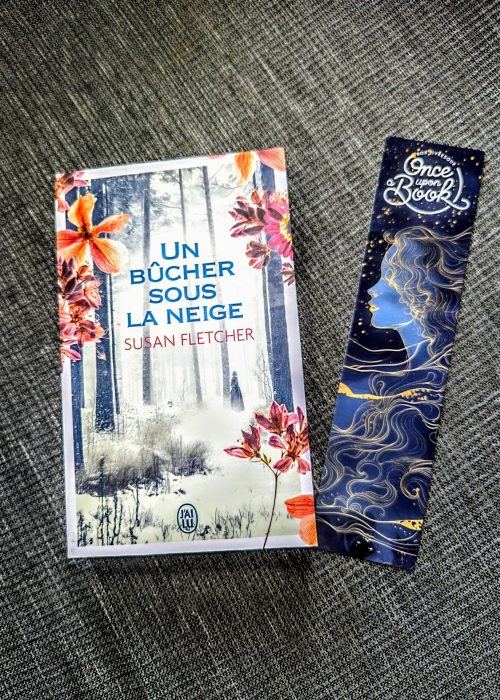 Un bûcher sous la neige - Susan FLETCHER - Edition J'ai Lu